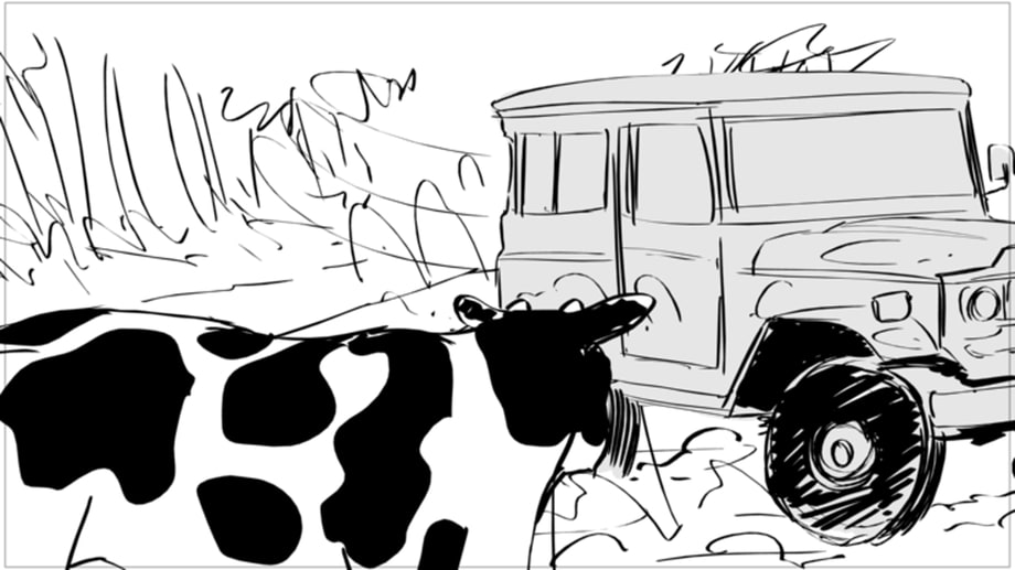 Bovine Complications