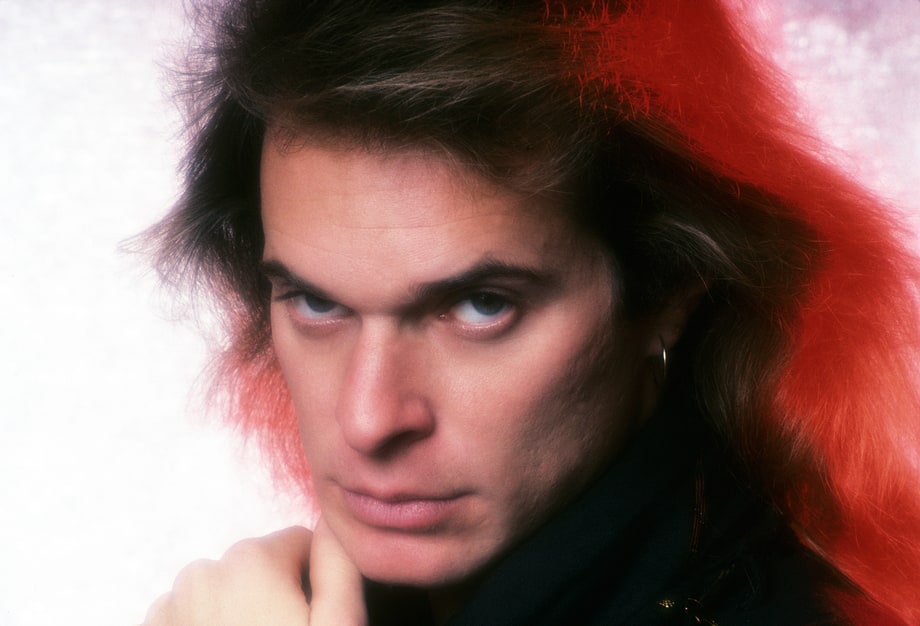 David the Lionheart