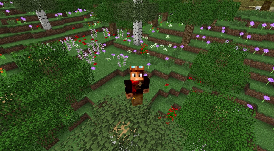 6. Minecraft