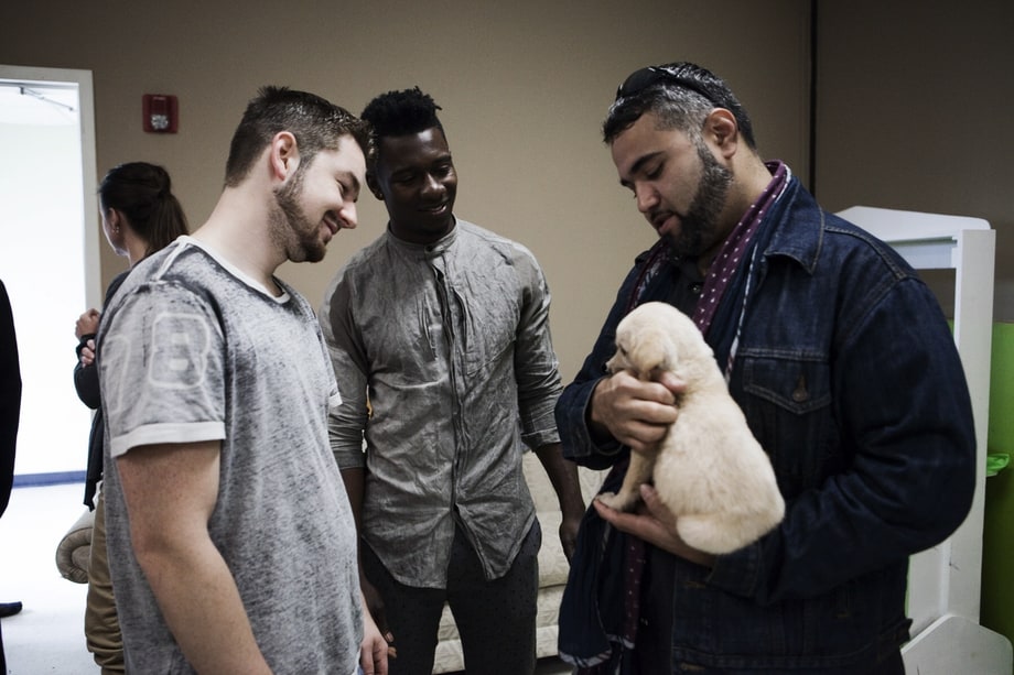 Animals as Leaders