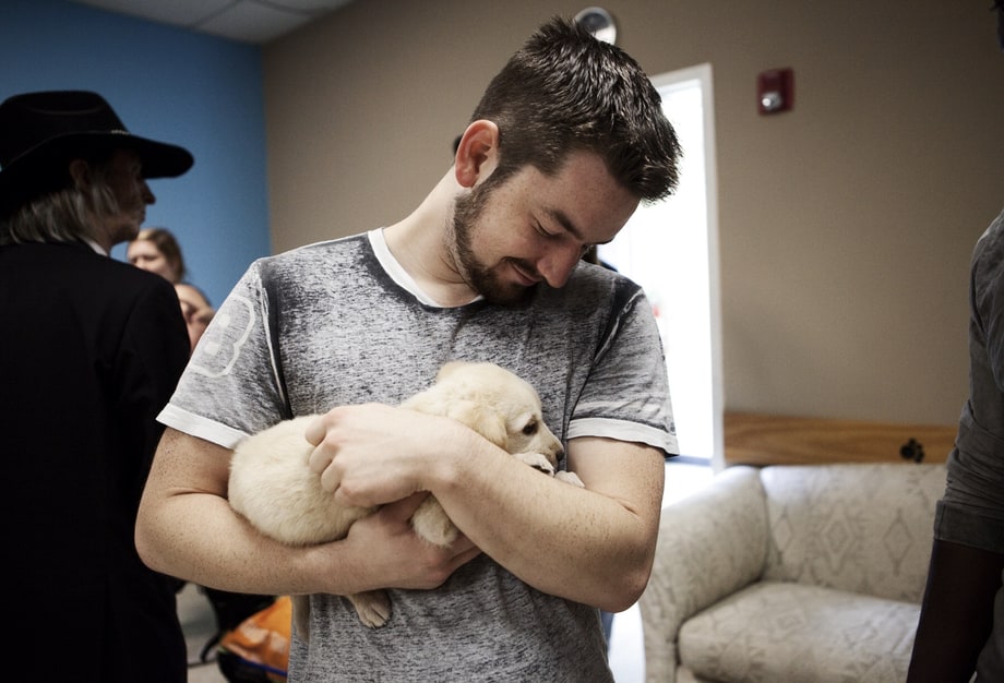 Animals as Leaders
