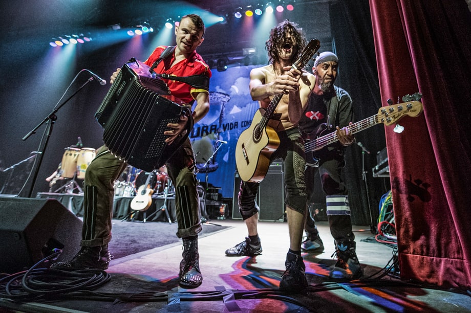 Gogol Bordello