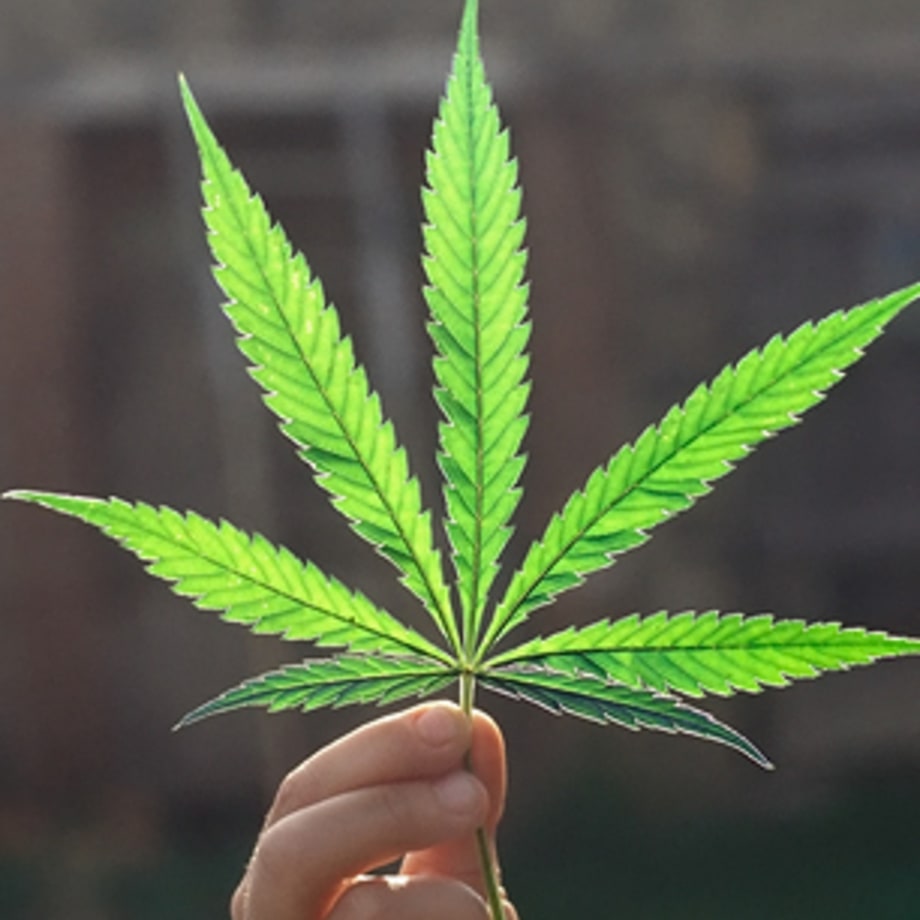 Nine Signs That Pot Legalization Is Coming Soon