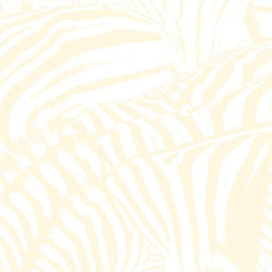 Beach House, 'Teen Dream'