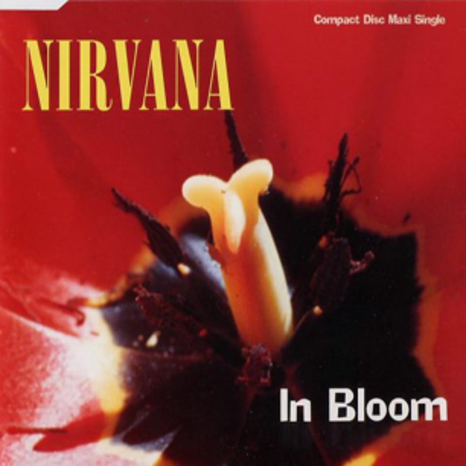 Nirvana, 'In Bloom'