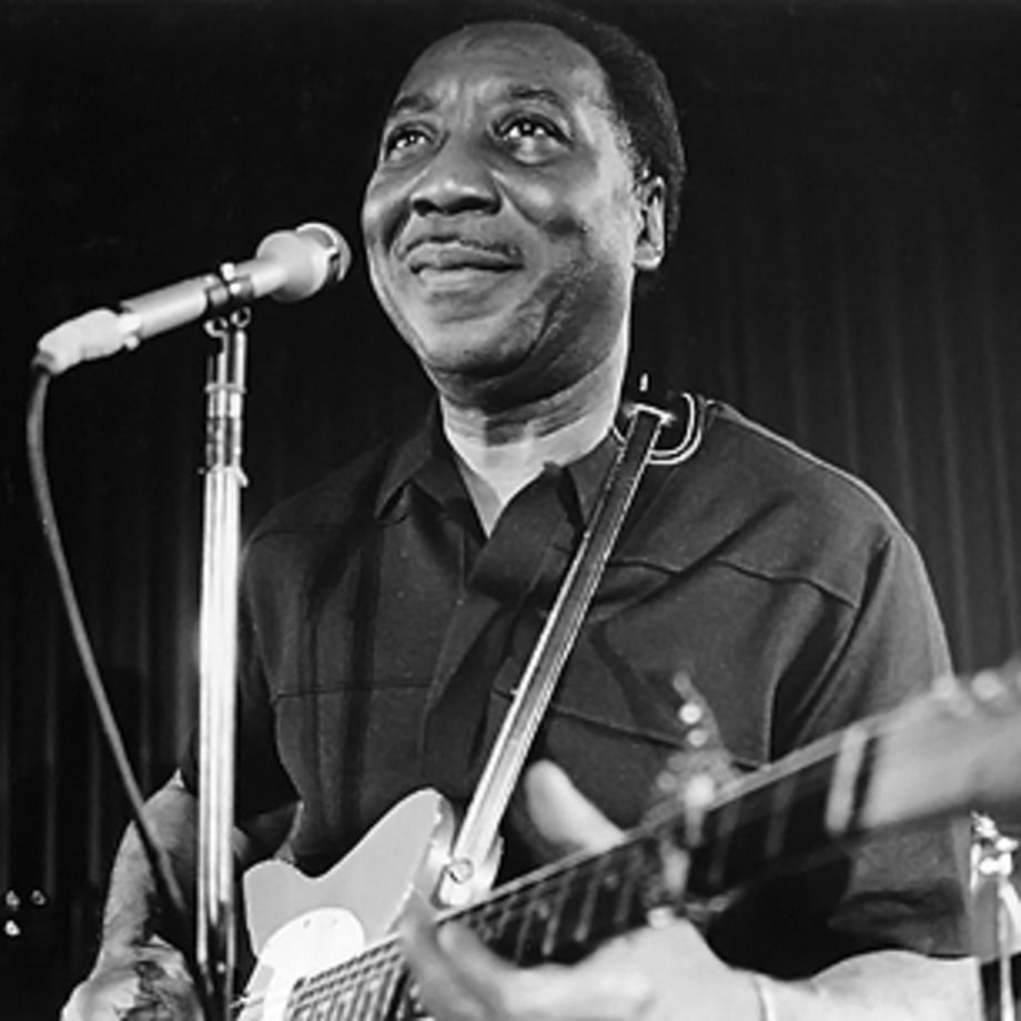 Muddy Waters