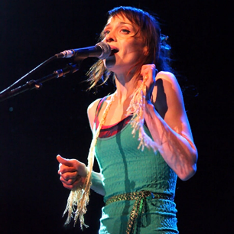 Fiona Apple, <em>The idler Wheel...</em>