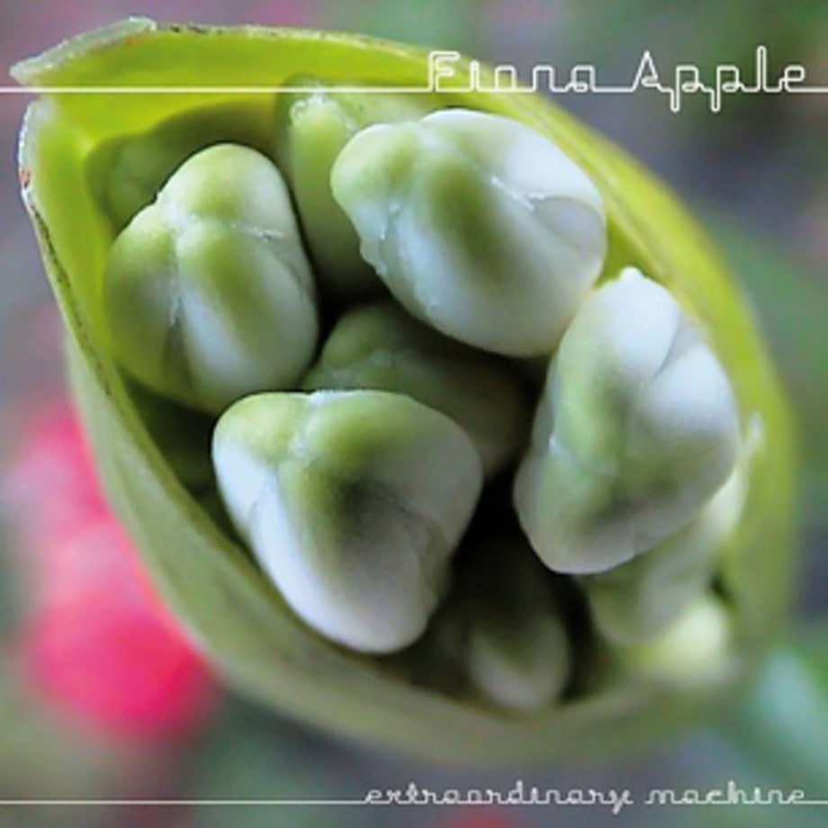 Fiona Apple, 'Extraordinary Machine'