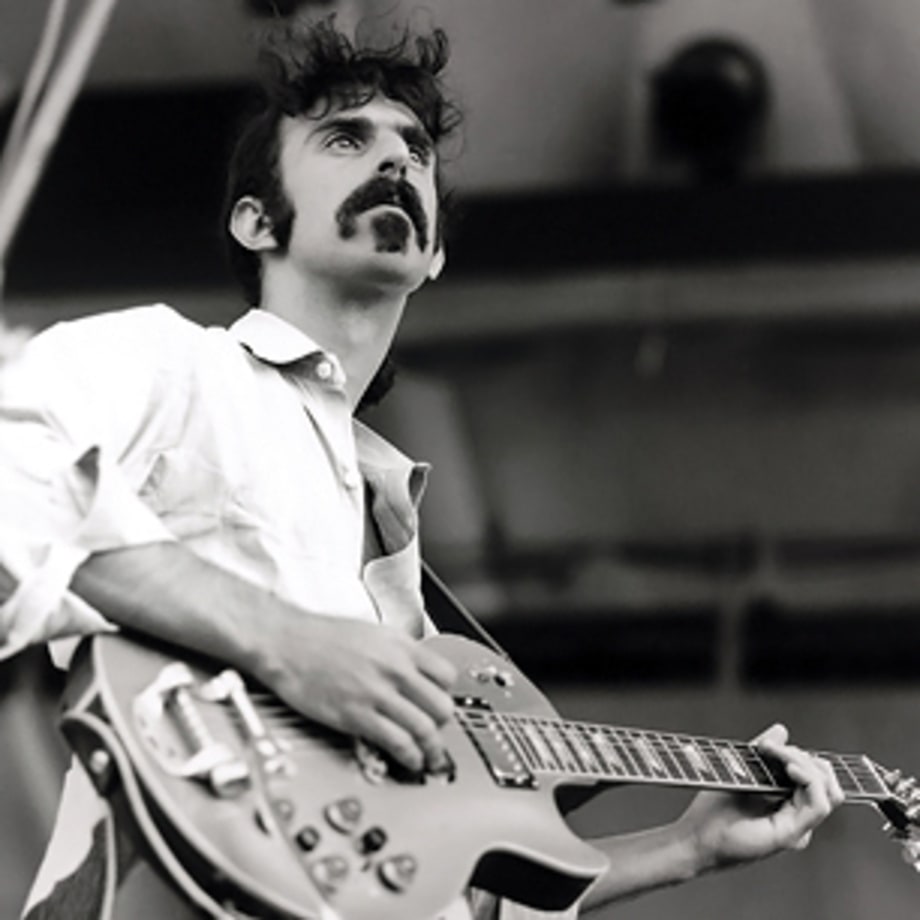 Pachygnatha zappa (Frank Zappa, spider)