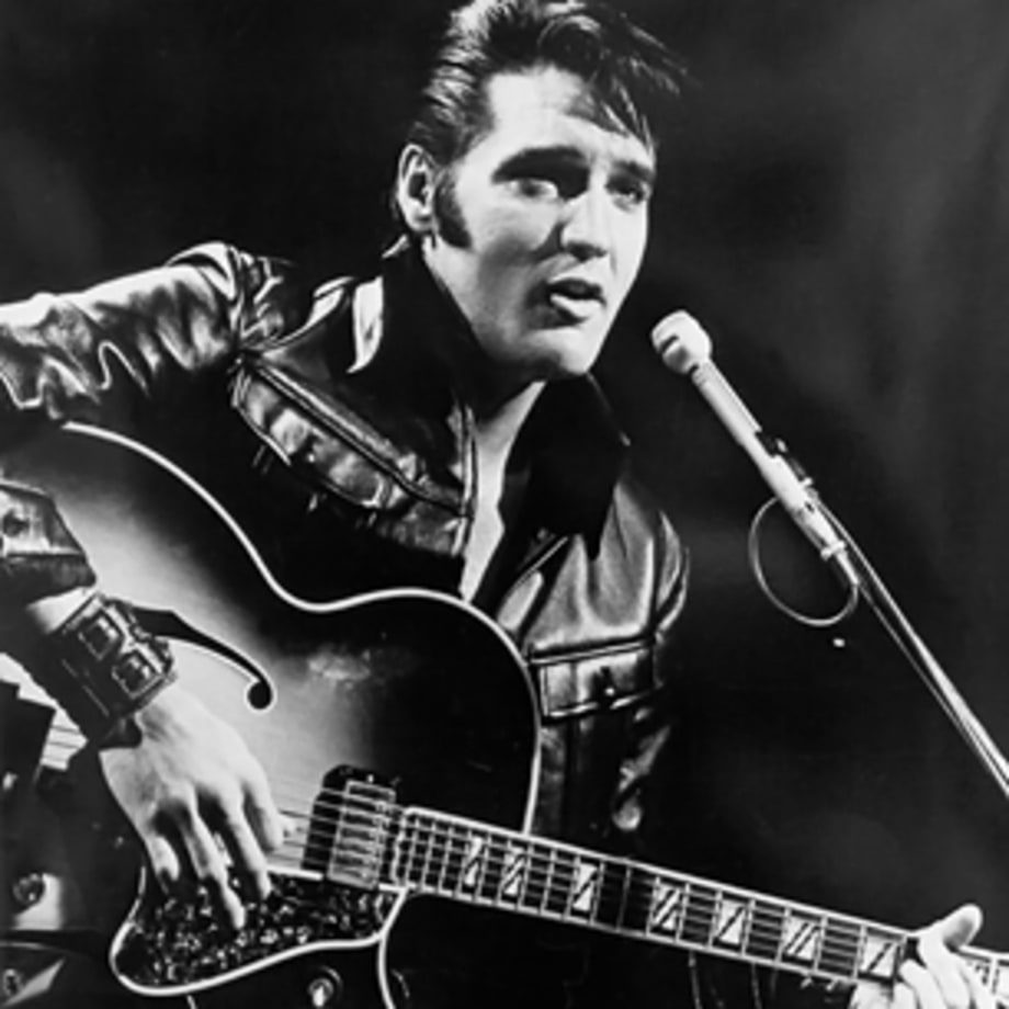Preseucoila imallshookupis (Elvis Presley, gall wasp)