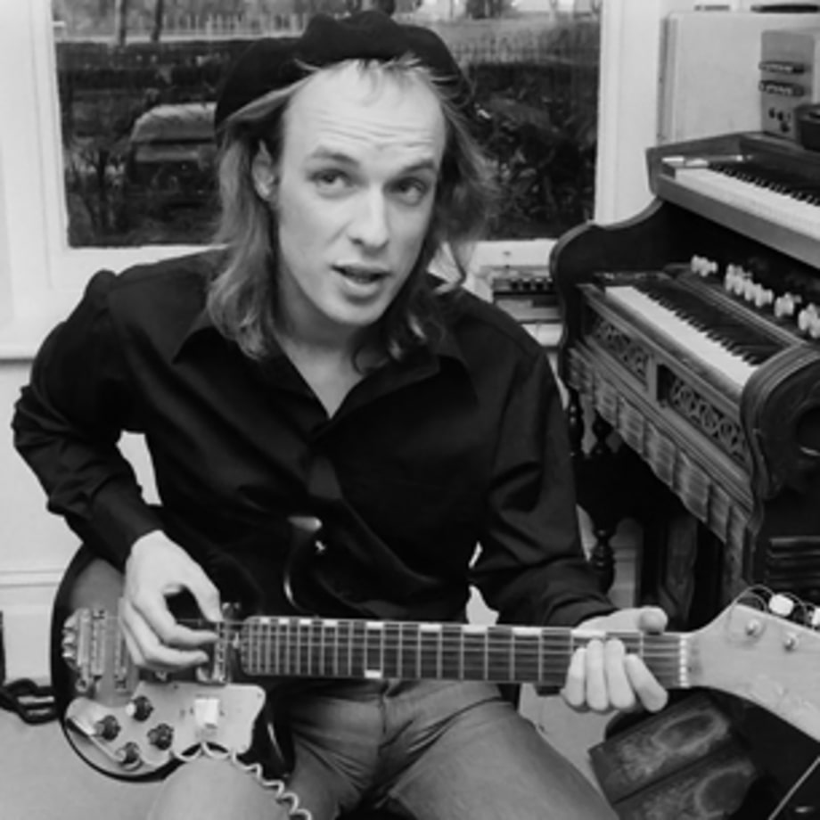 Pseudocorinna brianeno (Brian Eno, Afrotropical spider)