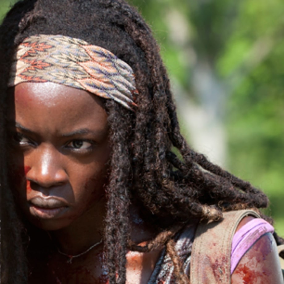Michonne disembowels a zombie