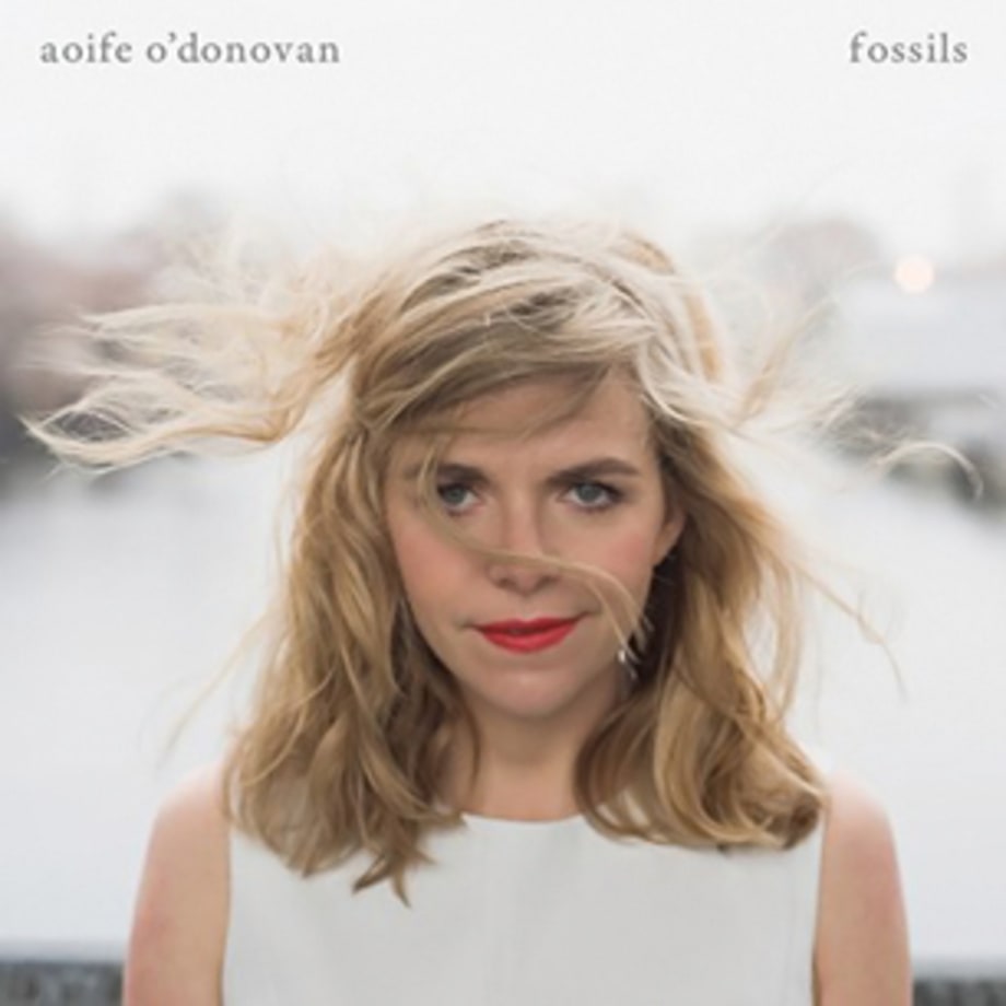Aoife O'Donovan, 'Fossils' (6/11)