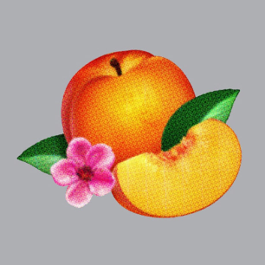 Phoenix, 'Bankrupt!'