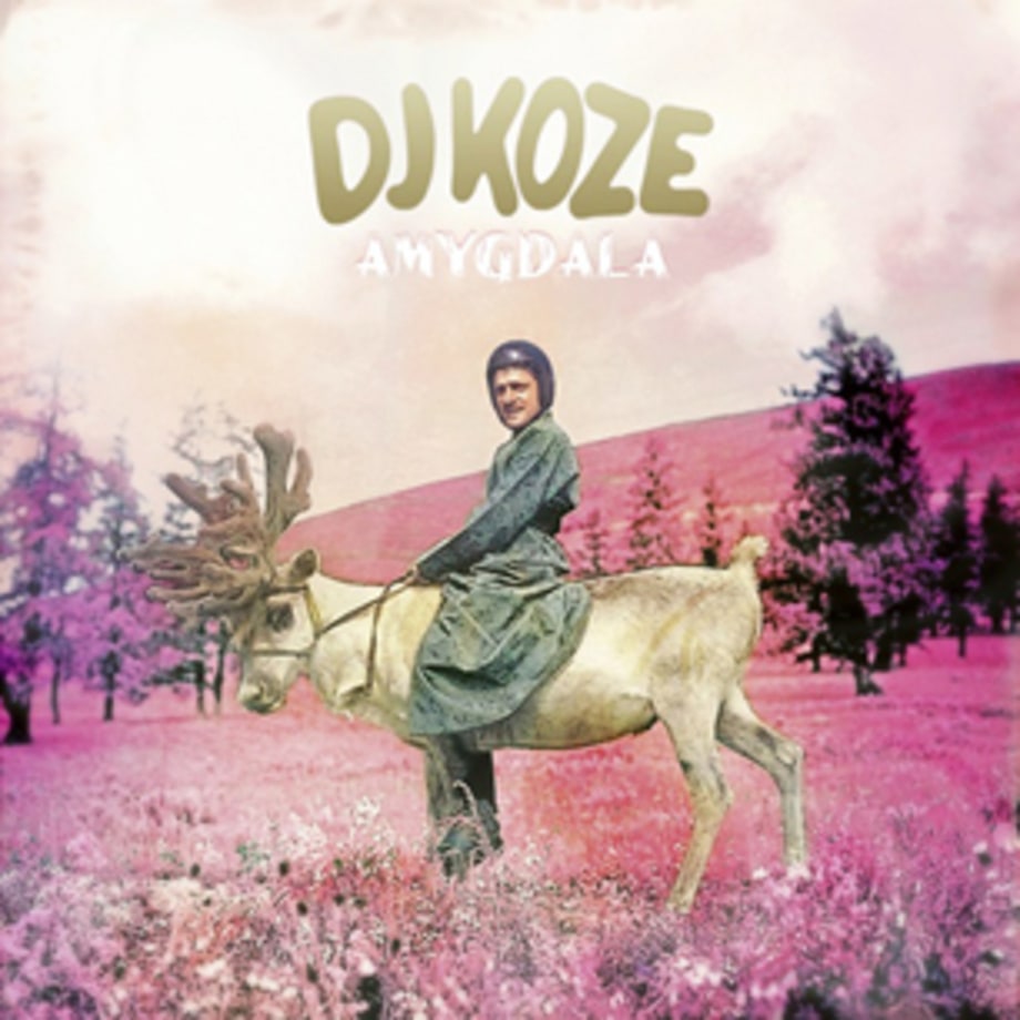 DJ Koze, 'Amygdala'