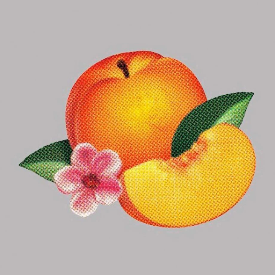 Phoenix, 'Bankrupt!'