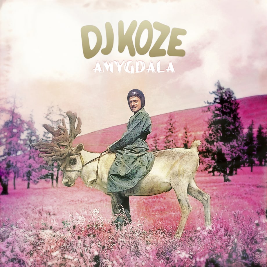 DJ Koze, 'Amygdala'