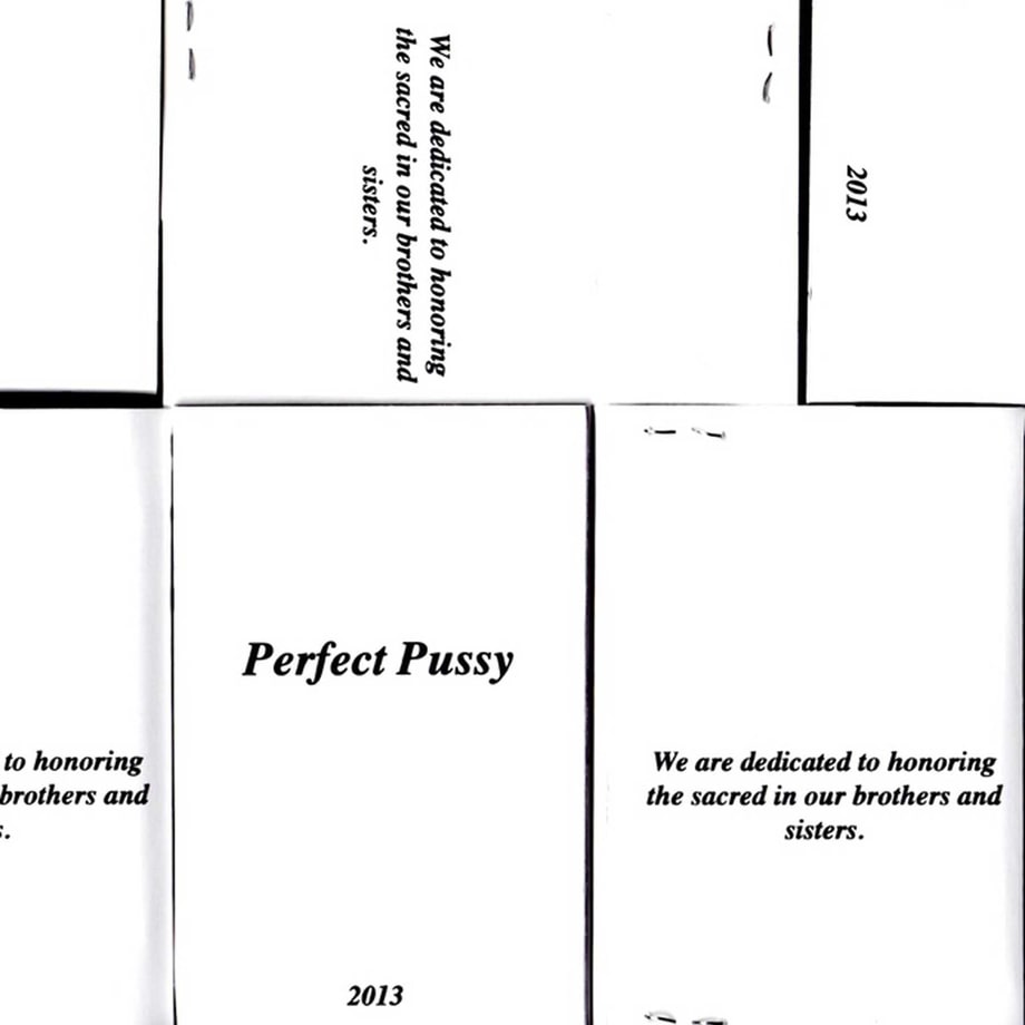 Perfect Pussy, 'I Have Lost All Desire for Feeling'
