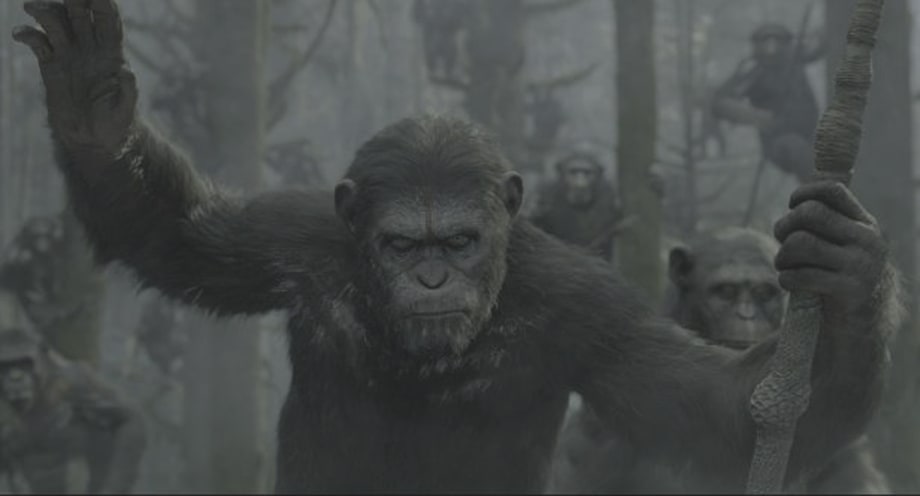 'Dawn of the Planet of the Apes' (July 11th)