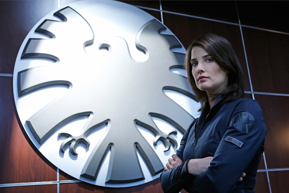 Ignoring 'Agents of S.H.I.E.L.D.'