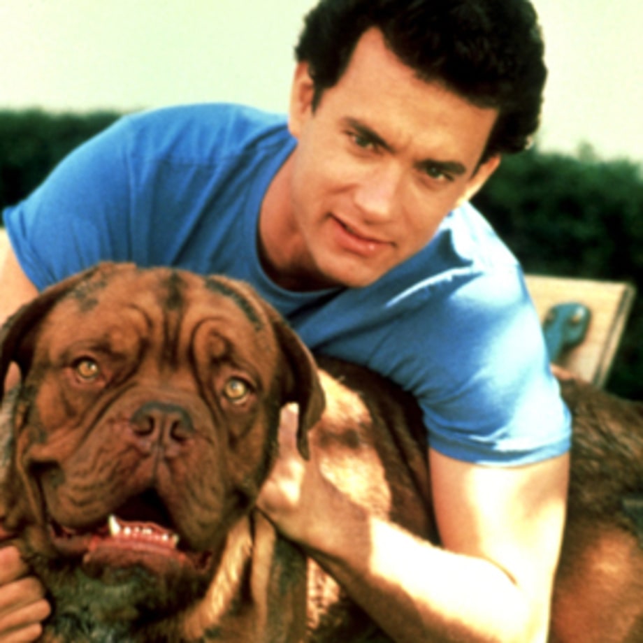 'Turner and Hooch' (1989)