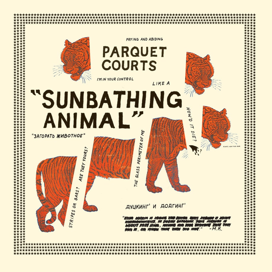 Parquet Courts, 'Sunbathing Animal'