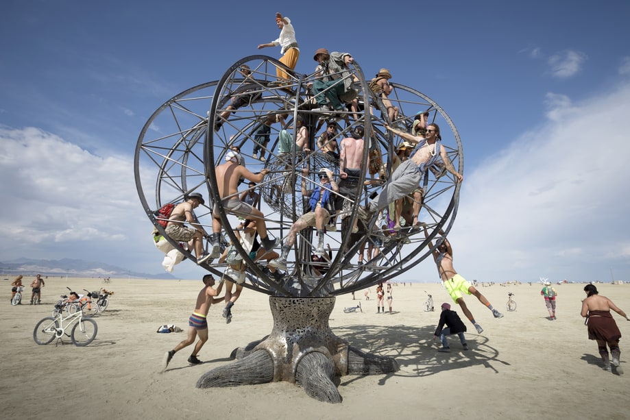 Tree of Life