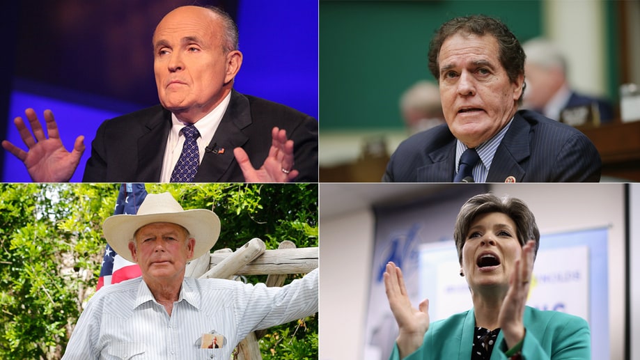10 Dumbest Things Right-Wingers Said in 2014
