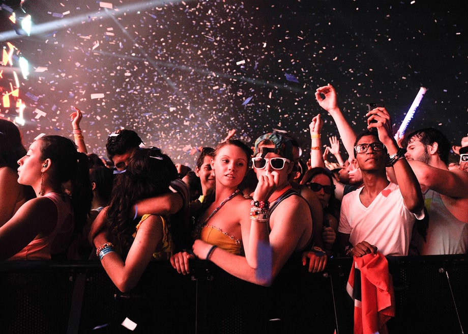 Electric Zoo: Transformed