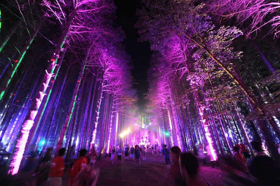Electric Forest