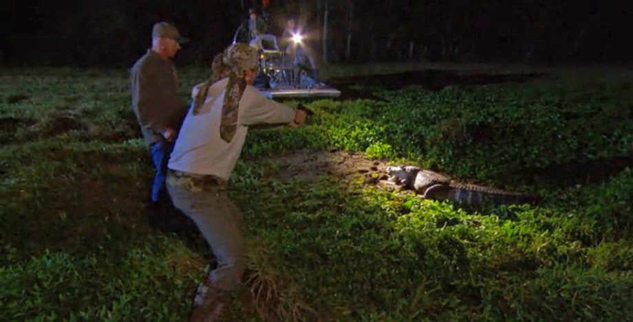 Scott Is an Alligator Hunter