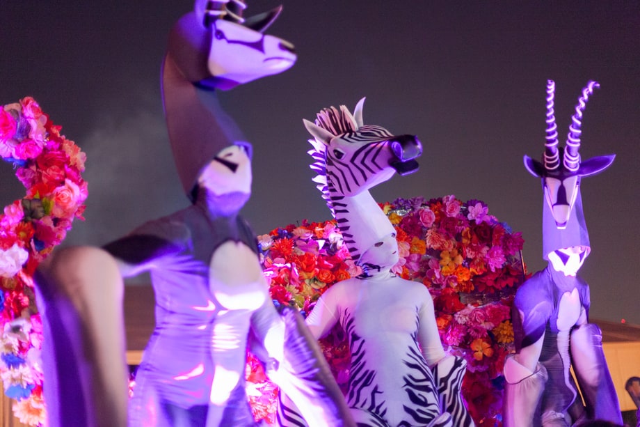 Best Art Installation: Electric Zebras