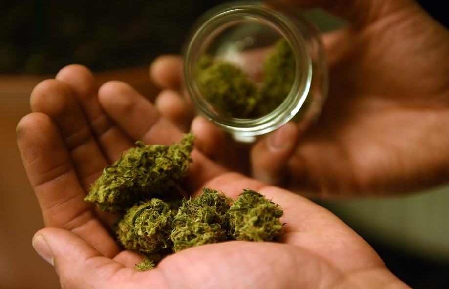 The Pothead Voters' Guide to the Presidential Candidates
