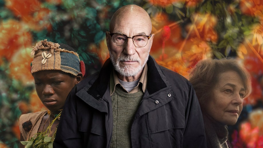 10 Best Things We Saw at 2015 Toronto Film Festival