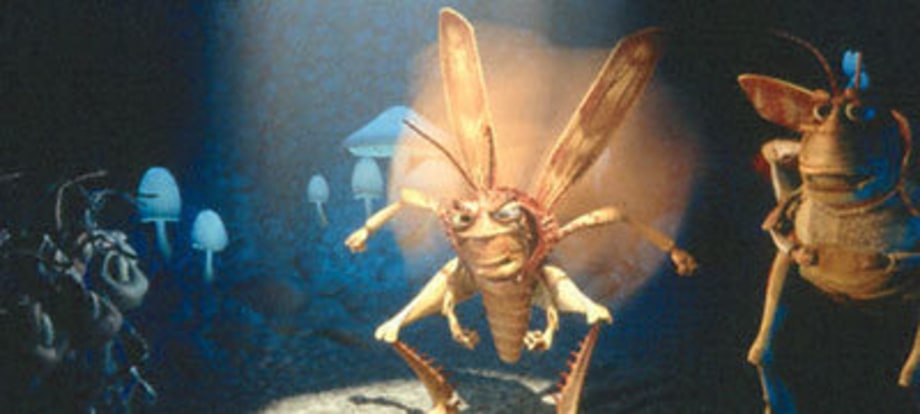 A Bug's Life