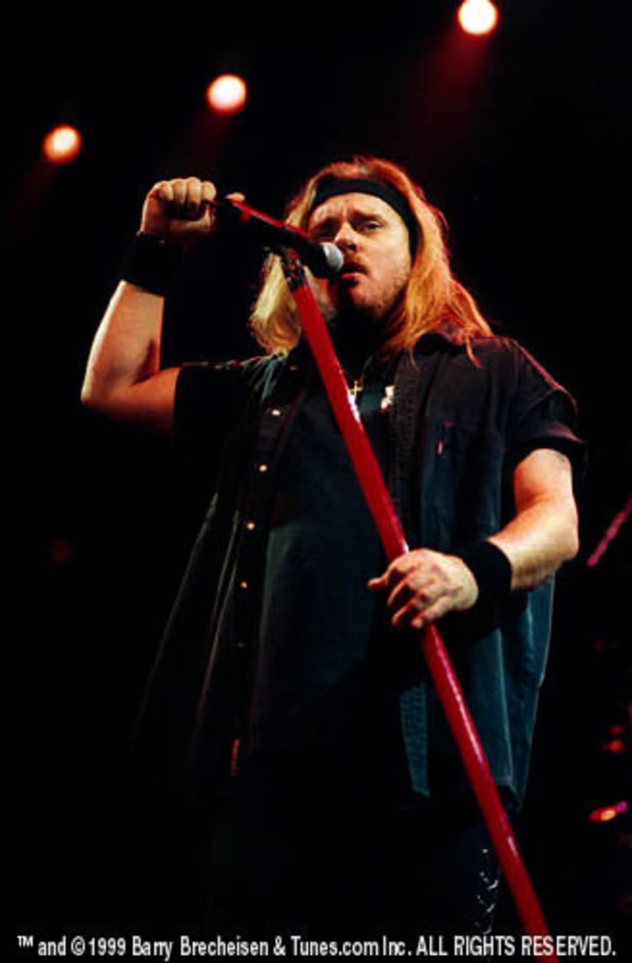 ZZ Top/Lynyrd Skynyrd