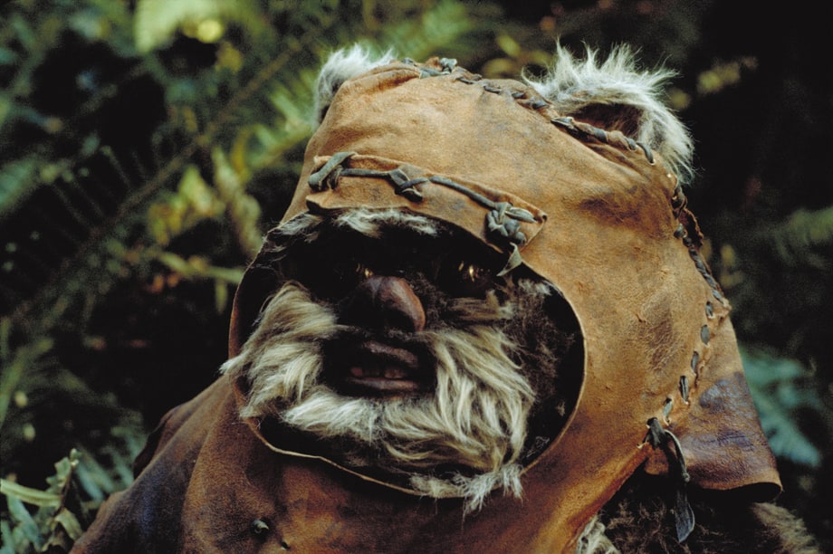 Wicket W. Warrick