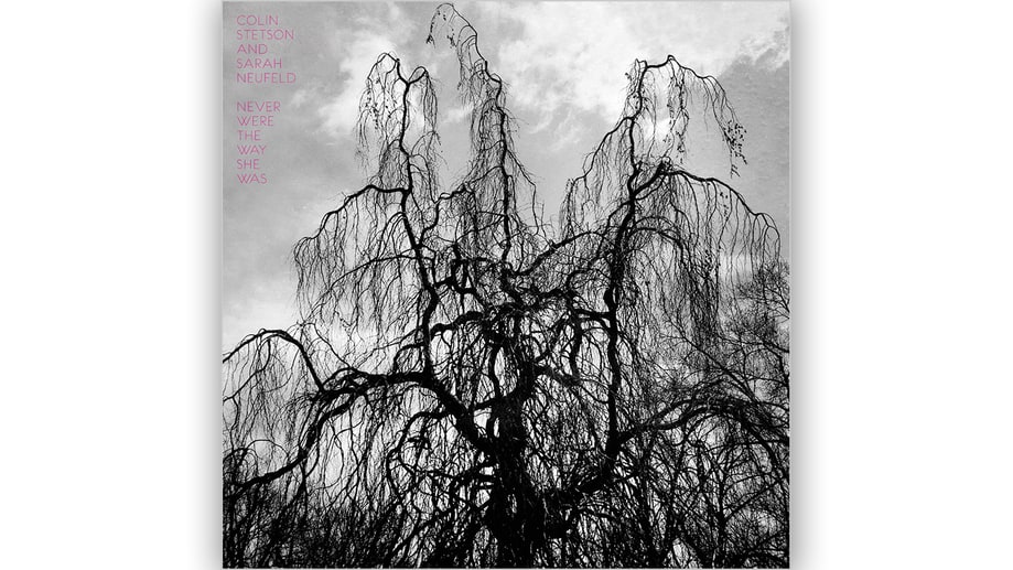 Colin Stetson and Sarah Neufeld, 'Never Were the Way She Was'