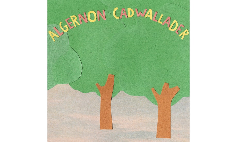 Algernon Cadwallader, 'Some Kind of Cadwallader' (2008)