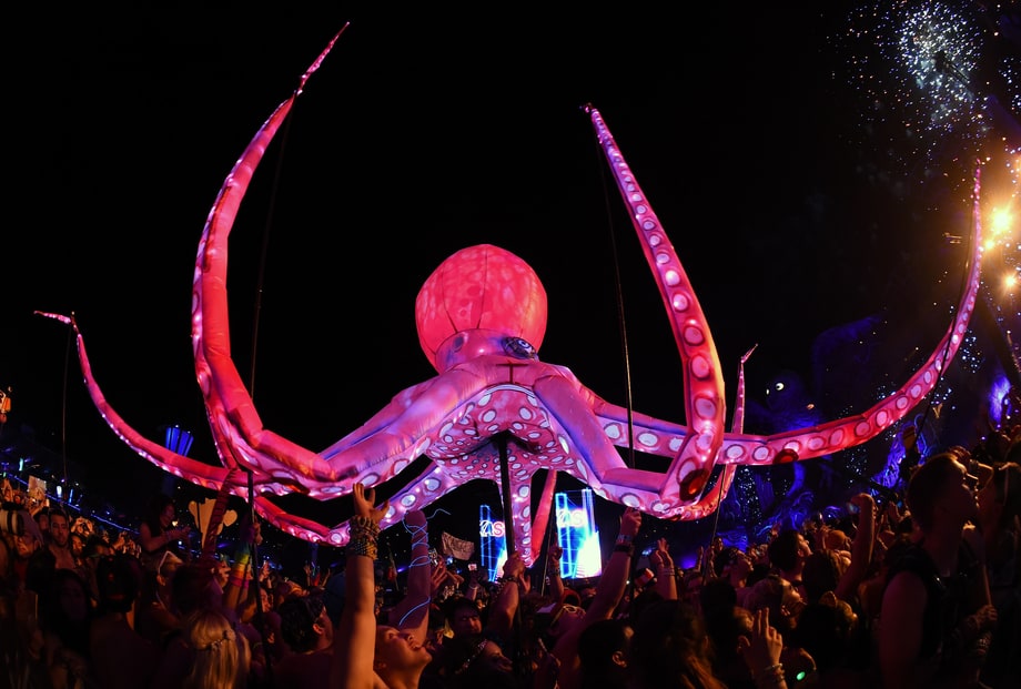 Electric Daisy Carnival