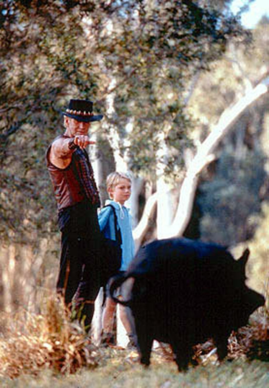 Paul Hogan in
