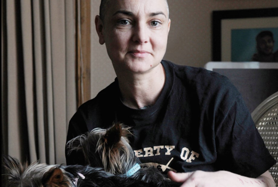Rockers and Their Pets