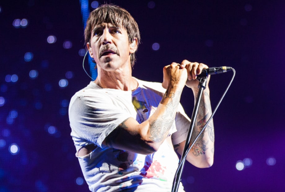 Firefly Festival 2013