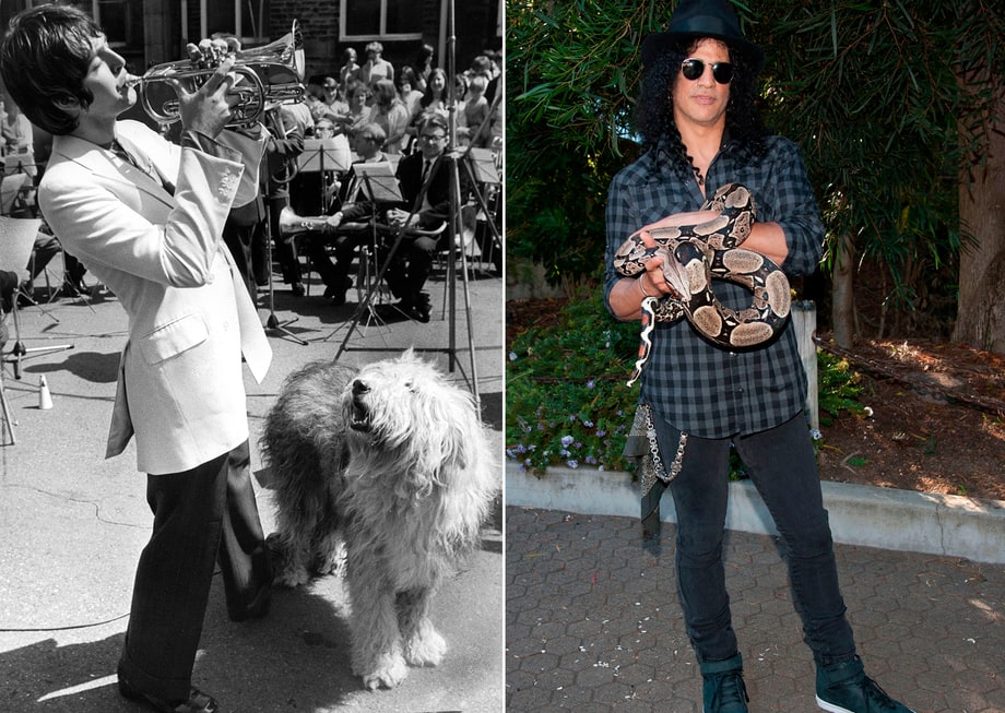 Wild Things: 11 Pets That Influenced Rock and Pop