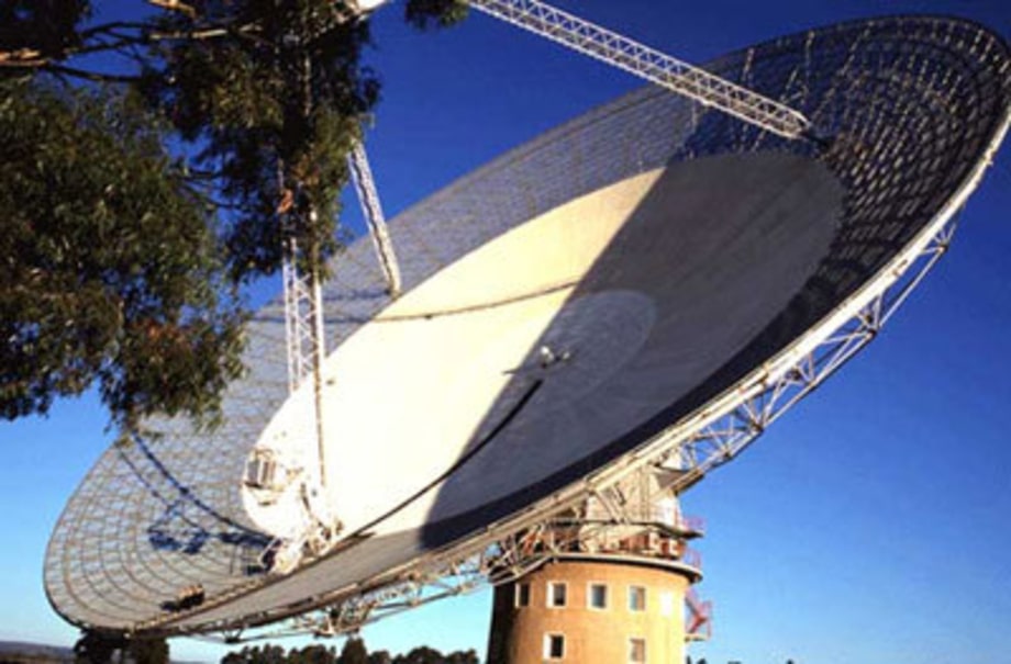 The Dish 03