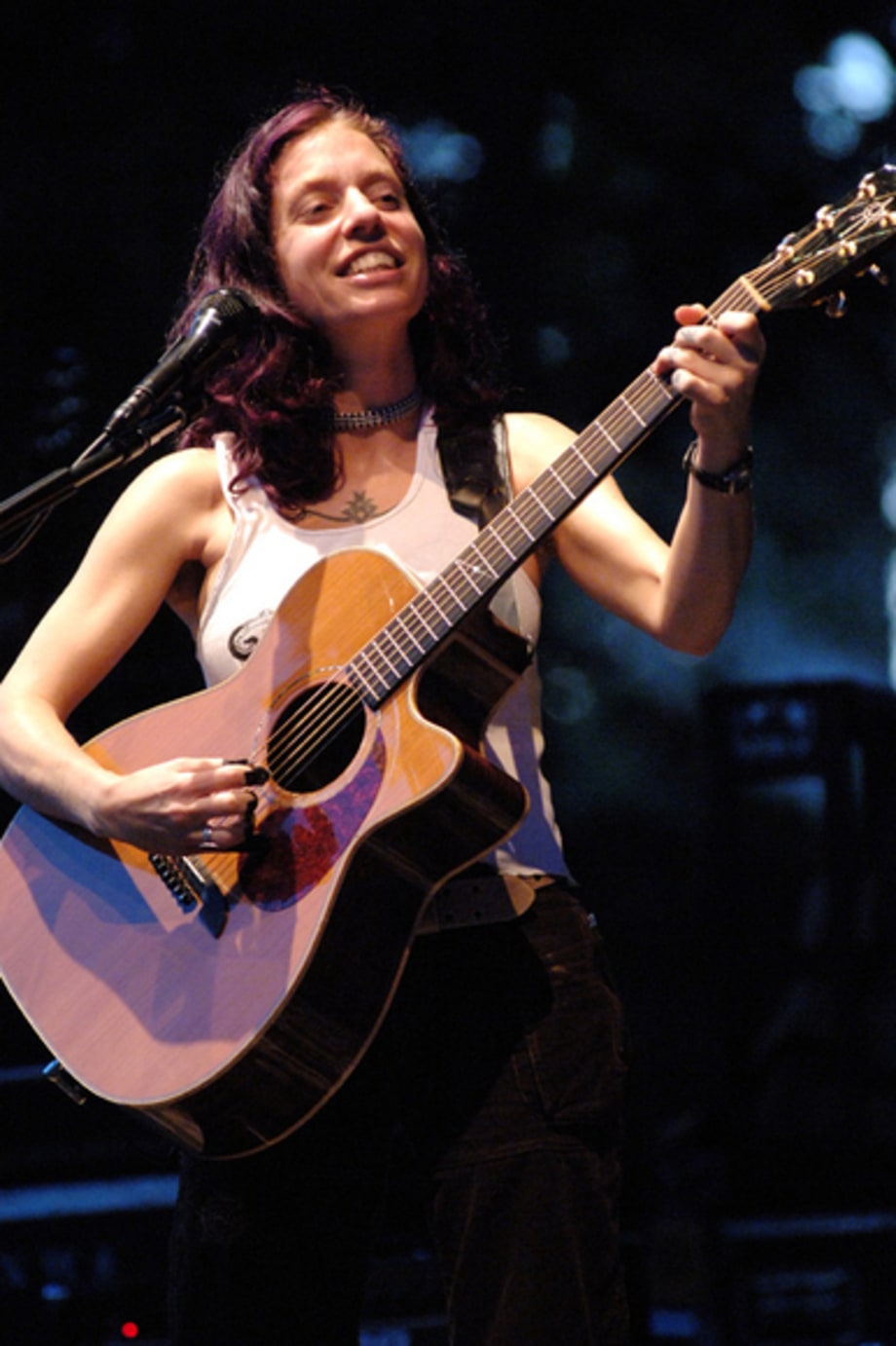 Ani DiFranco 2 - New York, NY 7/13/06