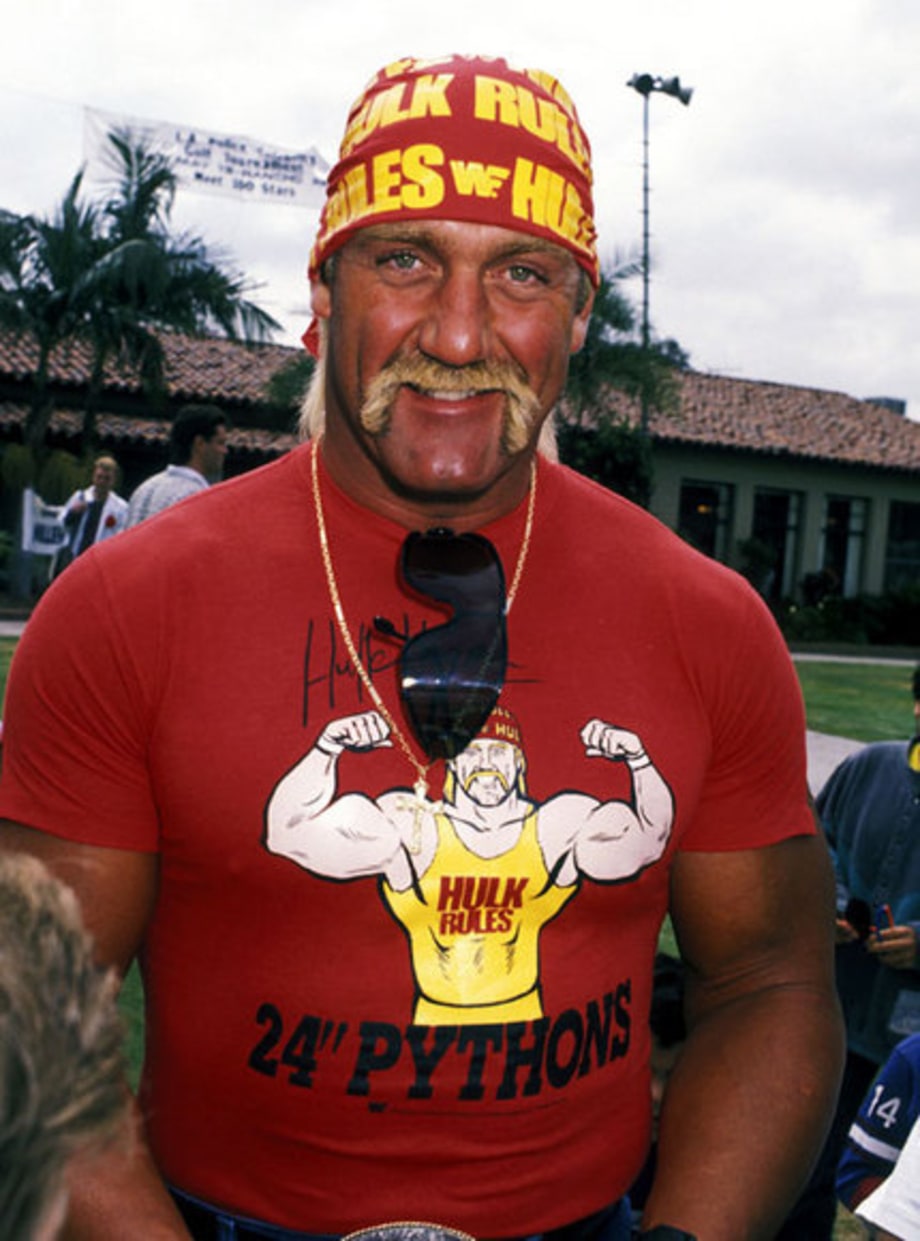 Hulk Hogan 1990 Hulk Hogan in Red A Hulk's Life The