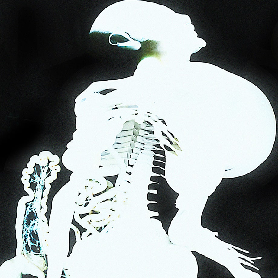Arca, 'Entrañas'