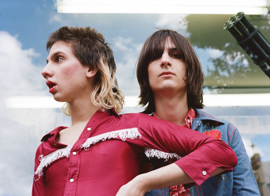 Lemon Twigs