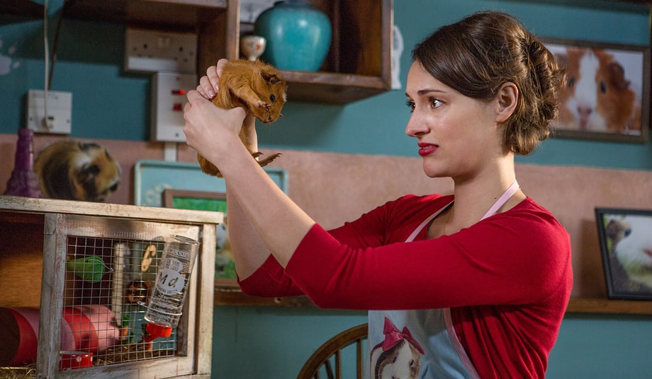 Fleabag, 'Fleabag'